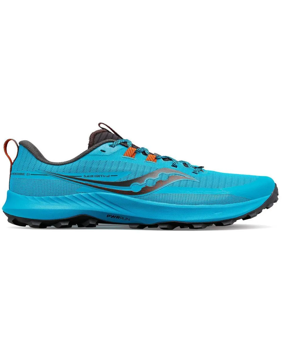 Chaussures de trail Homme PEREGRINE 13 Bleu