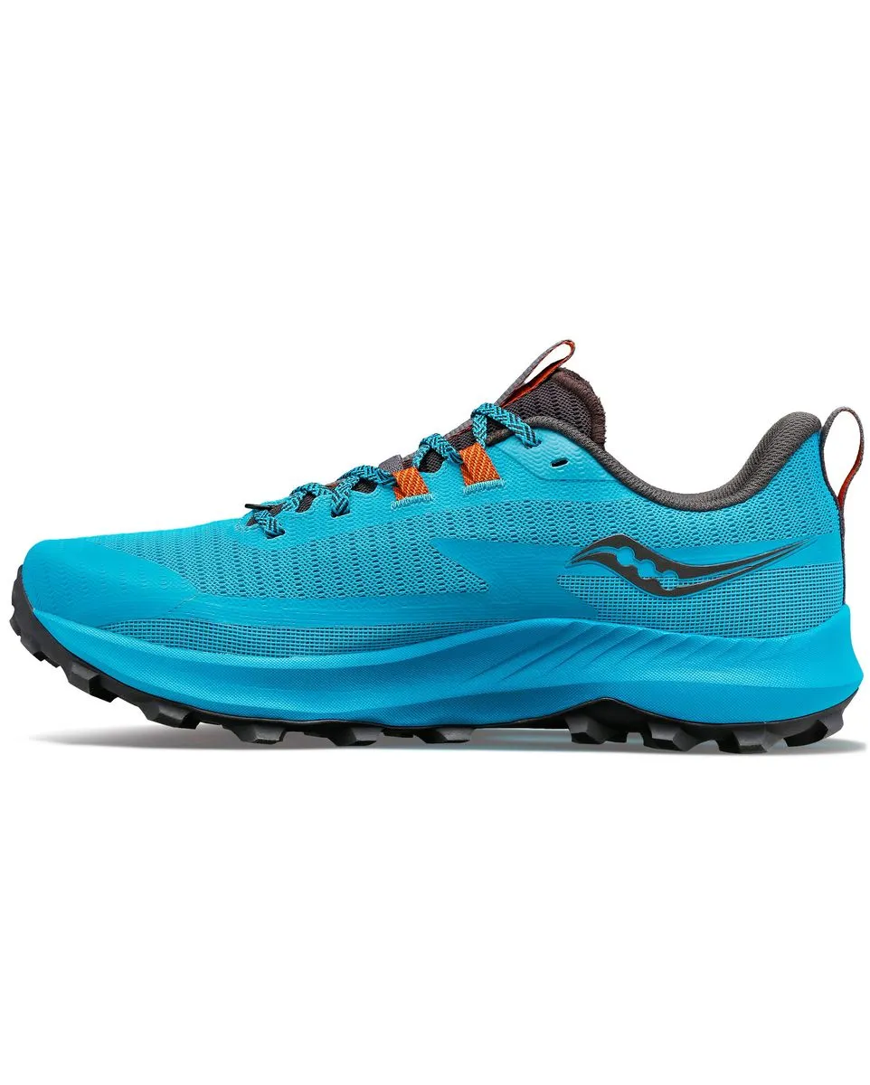 Chaussures de trail Homme PEREGRINE 13 Bleu