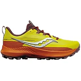 CHAUSSURES DE TRAIL PEREGRINE 13 M