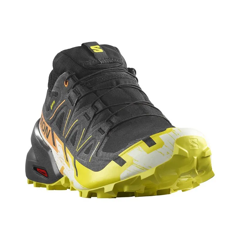 Chaussures Trail Homme Salomon Speedcross 6 GTX